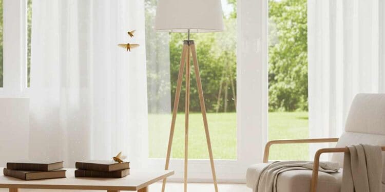 Motten im Wohnzimmer