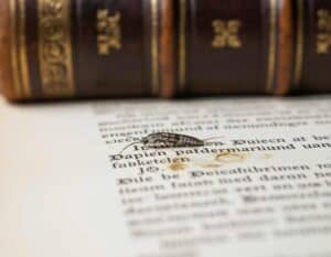 Mehr über den Artikel erfahren Was hilft gegen Papierfische?